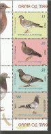 MK 2014-715-8 BIRDS PIGEON, MAKEDONIA, 4v, MNH - Pigeons & Columbiformes