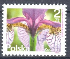 Poland  2016 - Flower - Irises - Mi.4856 - MNH(**) - Nuovi