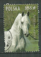 POLAND Oblitéré 4064 Faune Cheval Chevaux Horse - Oblitérés