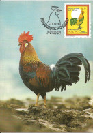 Carte Maximum - Oiseaux - Macao Macau - Galo Coq Rooster Gallus Gallus Domesticus - Ano Lunar Year Année Lunaire - Cartoline Maximum