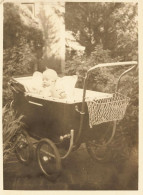 Landau Ancien * Poussette Kinderwagen Pram * Enfant Bébé Enfants * Photo Ancienne 11.5x8.5cm - Autres & Non Classés