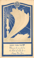 Judaica JWB - United Service Organizations USD 1952 From Rubinstein NY To Feldman France Via Frankfurt - Judaisme