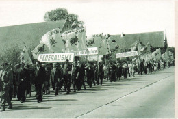 BELGIQUE - Manifestation Du Mouvement Populaire Wallon En 1962 - Animé - Carte Postale - Other & Unclassified