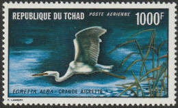 THEMATIC BIRDS:  GREAT WHITE HERON  -  TCHAD - Marine Web-footed Birds