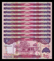 Somalilandia Somaliland Lot 10 Banknotes 1000 Shillings 2014 Pick 20c Sc Unc - Other - Africa