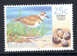 Bahamas 2004 Birds & Their Eggs - 2005 Imprint Date - 25c Killdeer MNH (SG 1359a Variety) - Bahamas (1973-...)