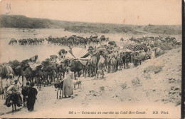 ALGERIE - Scènes Et Types - Caravane En Marche Au Caïd Ben Ganah - Carte Postale Ancienne - Scenes