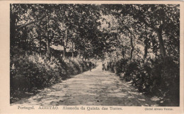 AZEITÃO - Alameda Da Quinta Das Torres - PORTUGAL - Setúbal