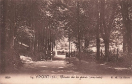 FRANCE - Yport - Route De La Gare (sous Bois)  - C.M - Carte Postale Ancienne - Yport