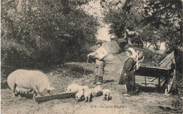 ENFANTS - Un Frère Et Une Sœur Regardant La Famille De Cochon - Carte Postale Ancienne - Groupes D'enfants & Familles