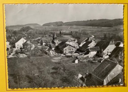 19705 - En Avion Au Dessus De La Chaux - Cossonay