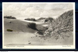 K07517)Ansichtskarte: Langeoog, Dünen - Langeoog