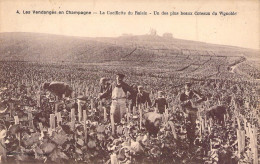 France - Les Vendanges En Champagne - La Ceuillette Du Raisin - Un Des Plus Beaux Coteaux - Carte Postale Ancienne - Champagne-Ardenne