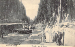 Turquie - Constantinople Cimetière Turc à Cutari - Animé - Moutons  - Oblitéré 1910 - Carte Postale Ancienne - Turkey