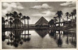 Postcard Egypt Cairo The Pyramids Of Guizeh & Mena Village - Piramiden