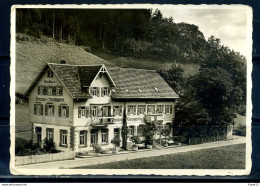 K10205)Ansichtskarte: Bad Rippoldsau, Gasthaus Rosengarten - Bad Rippoldsau - Schapbach