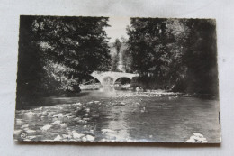 Cpsm, Chanac, Le Lot Au Pont Vieux, Lozère 48 - Chanac