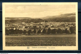 K11179)Ansichtskarte: Diekirch, Panorama - Diekirch