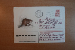 Postal Stationery, Beaver - Rodents