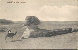 Postcard Egypt Cairo The Sphinx And Camel - Sphinx