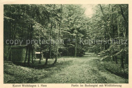 43127139 Wolfshagen Harz Partie Im Borbergtal Mit Wildfuetterung Wolfshagen - Langelsheim