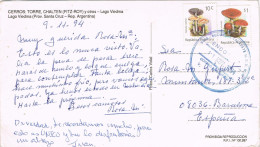 52957. Postal Panoramica Aerea CALAFATE (argentina) Patagonia 1994. Vistas Lago VIEDMA - Cartas & Documentos