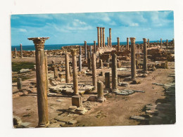 FA20 - Postcard - LYBIA- Sabratha, Uncirculated - Libia