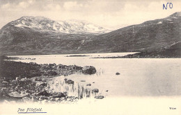 Norvège - Paa Fillefield - Mer - Montagne -  Carte Postale Ancienne - Norvège