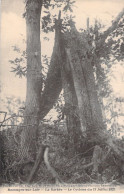 FRANCE - Bazouges Sur Loir - La Barbée - Cyclone Du 13 Juillet 1923 - Carte Postale Ancienne - Other & Unclassified