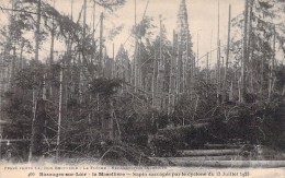 FRANCE - Bazouges Sur Loir - La Maselliere - Cyclone Du 13 Juillet 1923 - Carte Postale Ancienne - Other & Unclassified