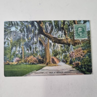 Carta Postale Circulèe - USA - 1915 - CHARLESTON, S.C. - Walk In Magnolia Gardens - Charleston