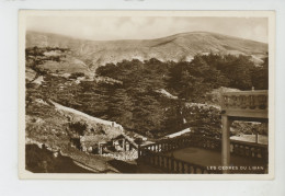 ASIE - LIBAN - LEBANON - Les Cèdres Du Liban - Liban