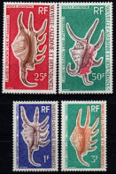 1972 Nuova Caledonia, Conchiglie, Serie Completa Nuova (**) - Unused Stamps