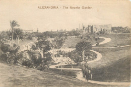 Postcard Egypt Alexandria The Nouzha Garden - Alexandrie