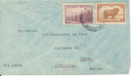 Argentina Cover Sent Air Mail To Denmark 1938 - Covers & Documents