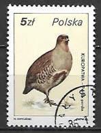 POLOGNE      -     PERDRIX      .   Oblitéré - Grey Partridge