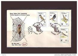 1990 NORTH CYPRUS WORLD ENVIRONMENT DAY - BIRDS FDC - Cartas & Documentos