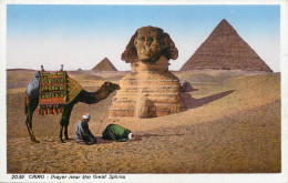 Postcard Egypt Cairo The Pyramids Of Guizeh And Sphinx - Gizeh