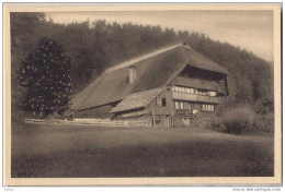 _F037: Bauernhaus I. Gutach ( Genant Martinsbauer) - Gutach (Schwarzwaldbahn)