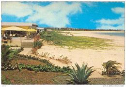 _Hc978: DEVI DEVI BEACH HOTEL  - ARUBA, NETh. Antilles ..stretch Of Eagle Beach With Pelican Bar & Pool Terrace >Tilburg - Aruba