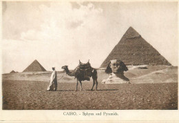 Postcard Egypt Cairo The Pyramids Of Gizeh - Gizeh