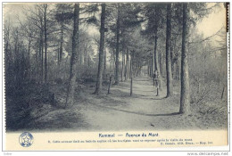 _ik540-4 :8 - KEMMEL - Avenue Du Mont. - E.Desaix, Edit.Brux;.. - Heuvelland