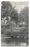Celles Pont Rustique Dans Le Parc Du Chateau De Mirande 4808 Edition Closset Waitin 1910 - Celles