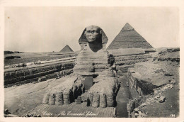 Postcard Egypt Cairo The Pyramids Of Guizeh And Sphinx - Gizeh