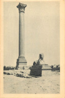 Postcard Egypt Alexandria Pompey's Pillar - Alexandrie