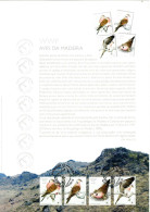 WWF DIN A4 Sheet  MADEIRA, Pigeon   /   MADÈRE   Feuille De Première Jour, Pigeon -  2002 - Pigeons & Columbiformes