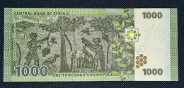 SIRIA / SYRIA 1000 LIBRAS - POUNDS AÑO 2013 SC- / UNC-. P-116a - Syrië