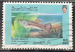 BRUNEI - (0) - 1991  # 431 - Brunei (1984-...)