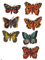 Decoupi Papillon - Tiere