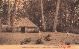 FRANCE - Pougues Les Eaux - Dans Le Parc - Les Biches - Carte Postale Ancienne - Pougues Les Eaux